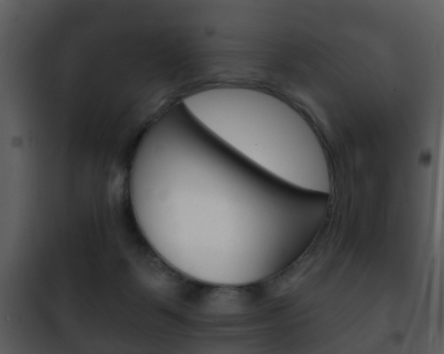 X0000101980123200807180810