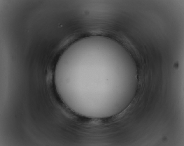 X0000101980124200807180810