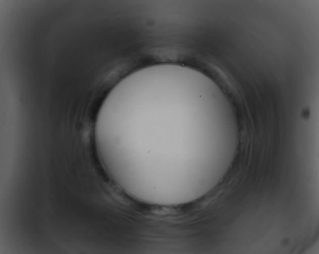 X0000101980125200807180810