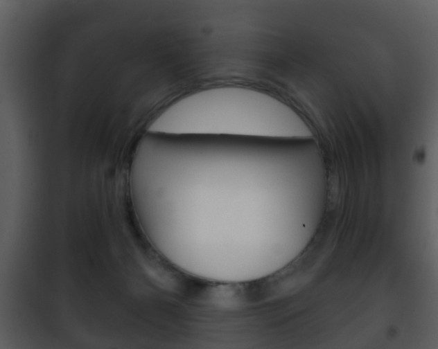 X0000101980126200807180810