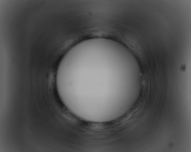 X0000101980127200807180810