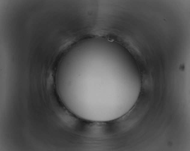 X0000101980128200807180810