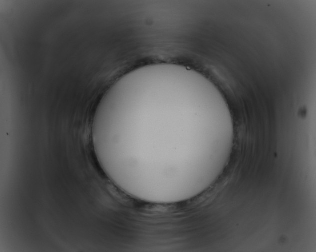 X0000101980129200807180810