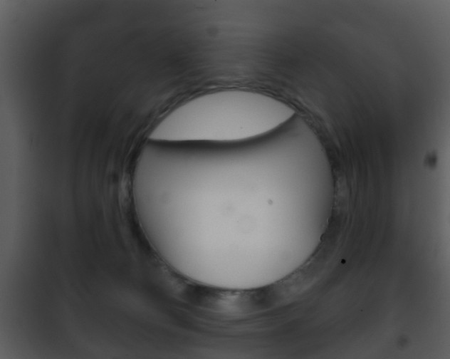 X0000101980130200807180810