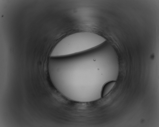 X0000101980131200807180810