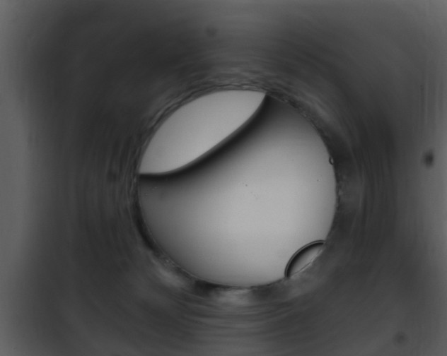 X0000101980132200807180810