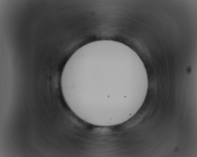 X0000101980133200807180810