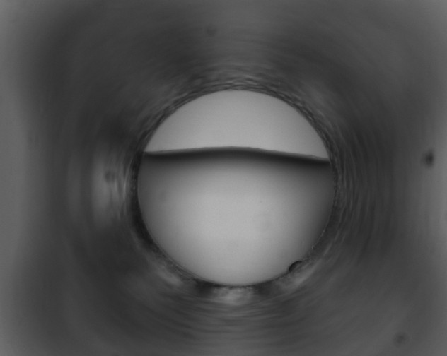 X0000101980135200807180809