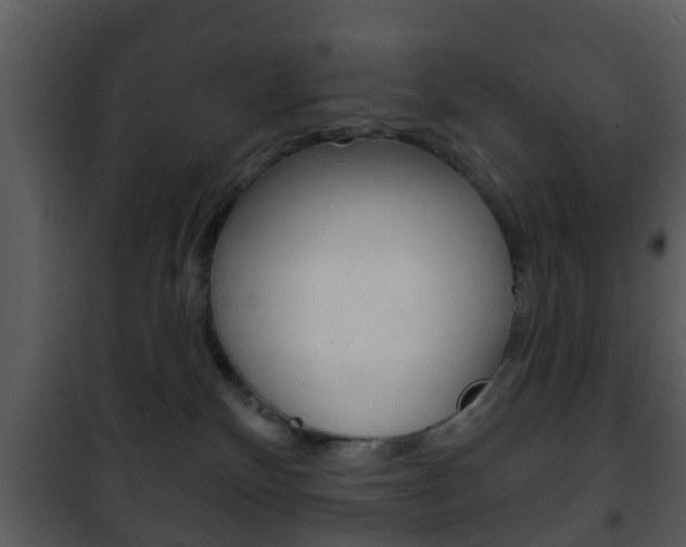 X0000101980136200807180809