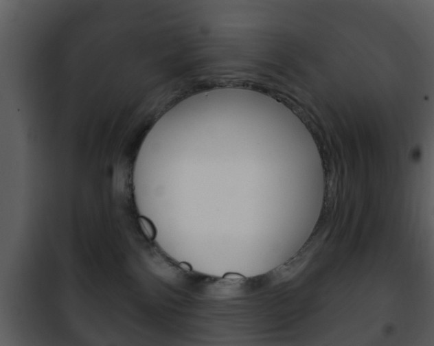 X0000101980138200807180809