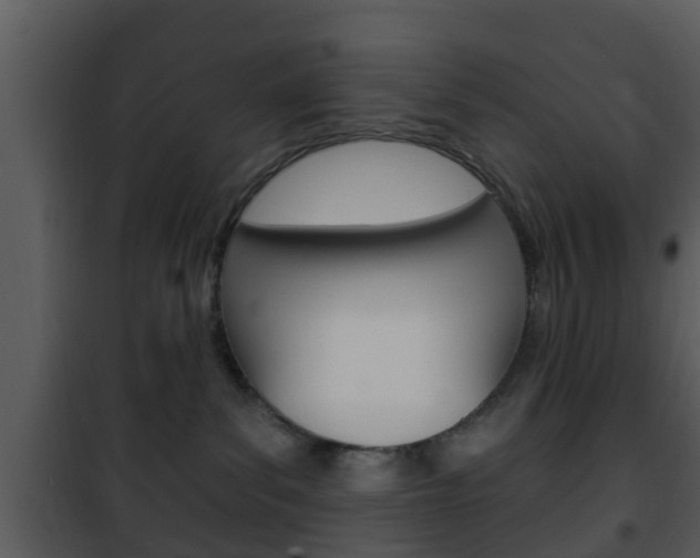 X0000101980139200807180809