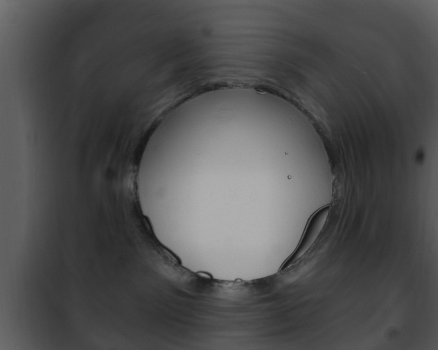 X0000101980141200807180809