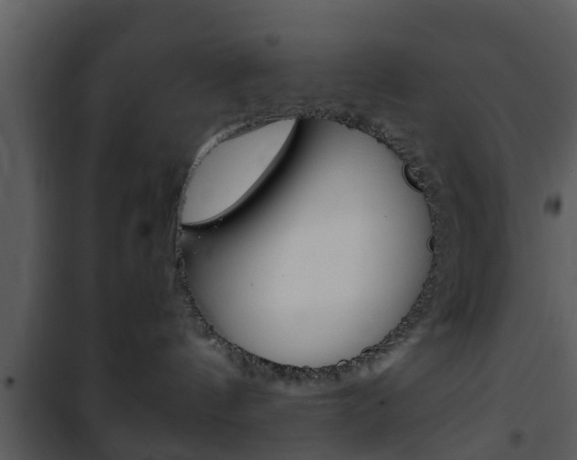 X0000101980144200807180809