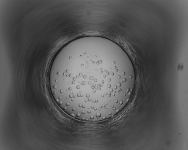 X0000101980145200807180809