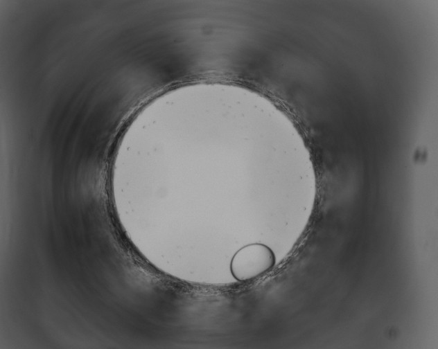 X0000101980146200807180809