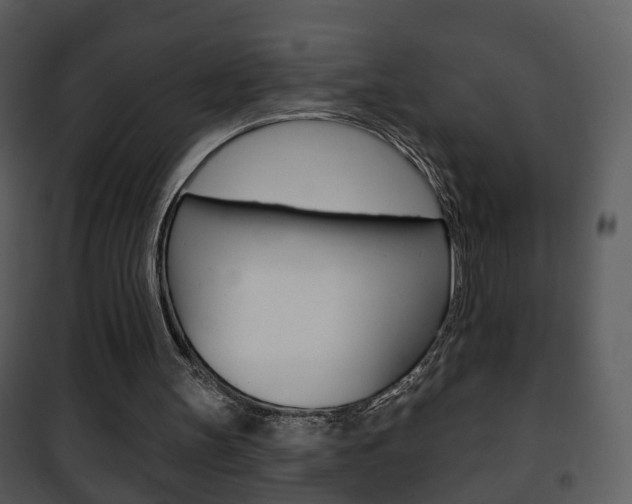 X0000101980147200807180809