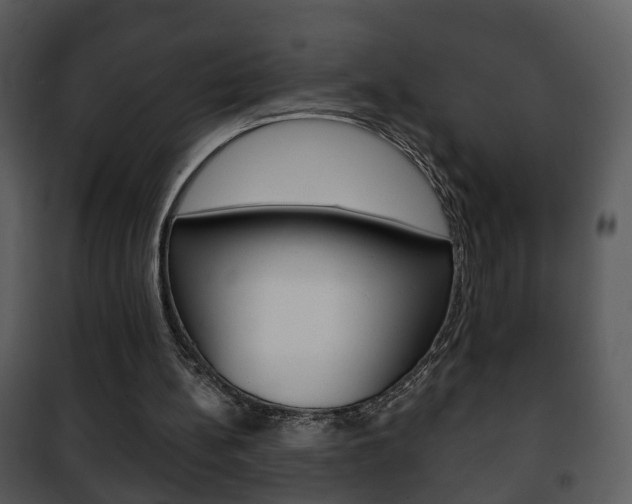 X0000101980148200807180809