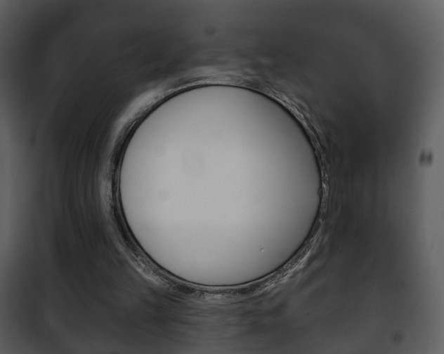 X0000101980149200807180809