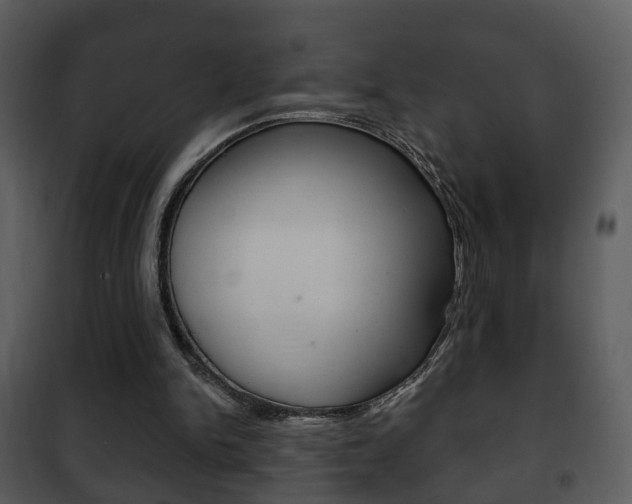 X0000101980150200807180809