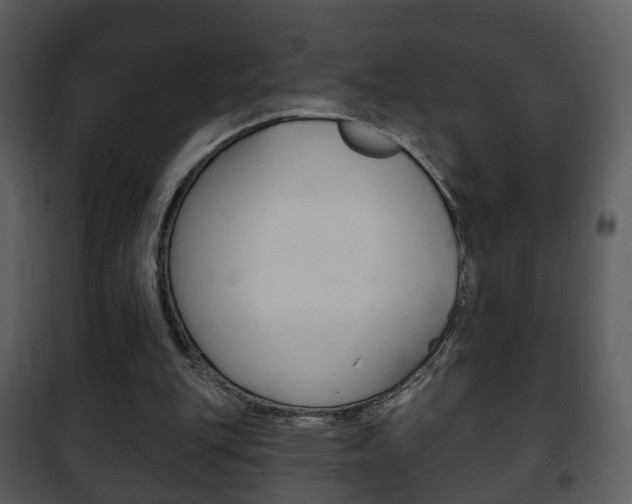 X0000101980151200807180809