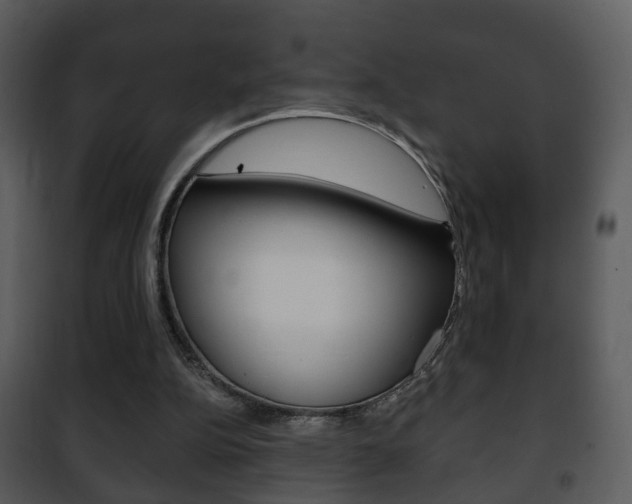 X0000101980152200807180809