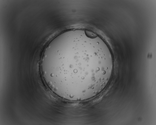 X0000101980153200807180809