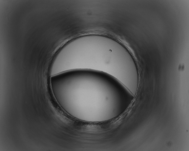 X0000101980154200807180809