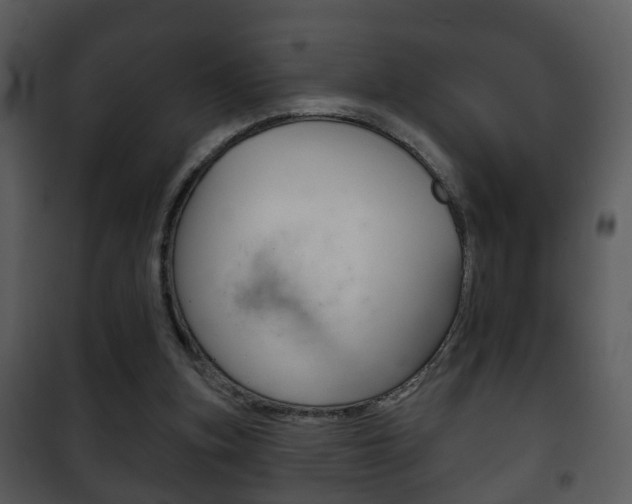 X0000101980155200807180809