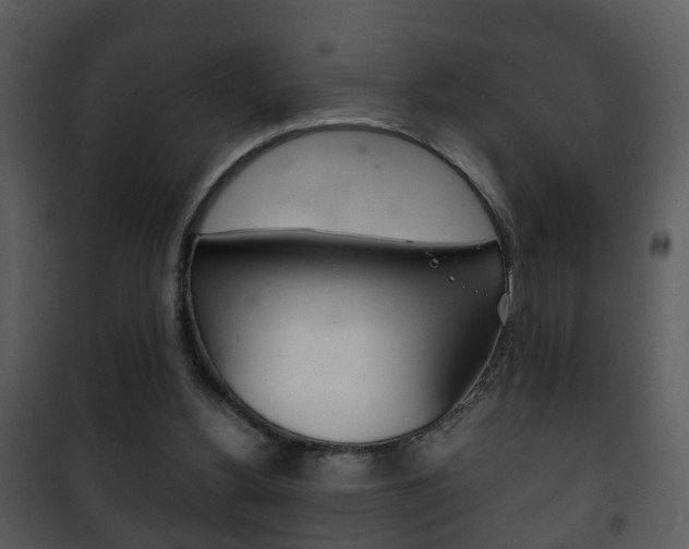 X0000101980156200807180809