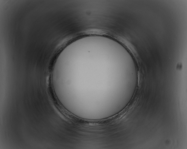 X0000101980157200807180809