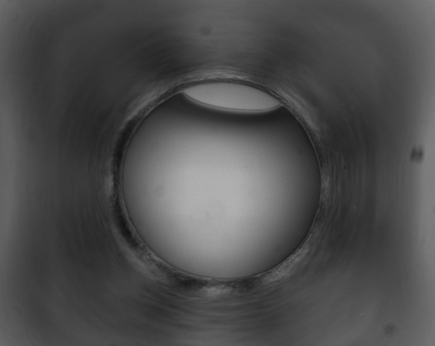 X0000101980158200807180809