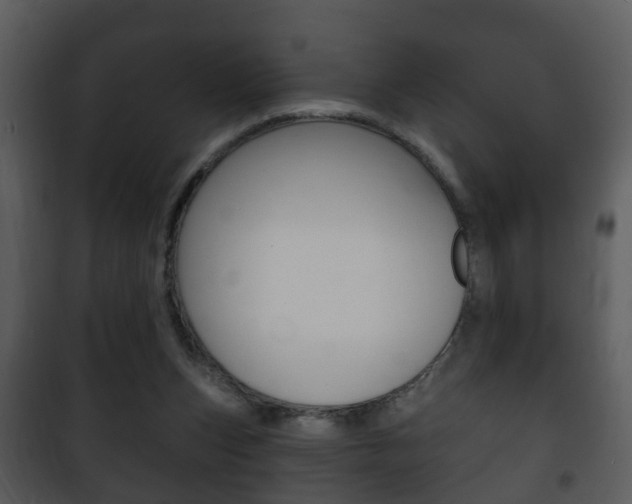 X0000101980159200807180809