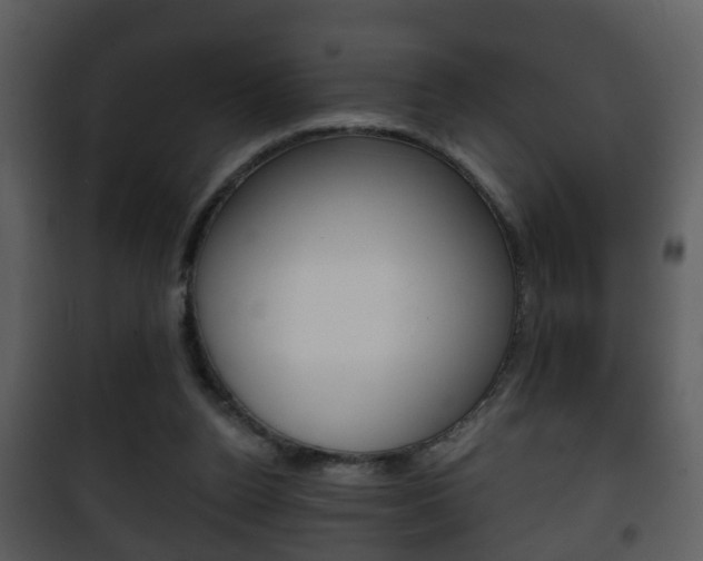 X0000101980160200807180809