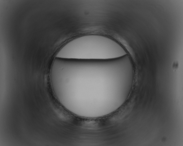 X0000101980161200807180809