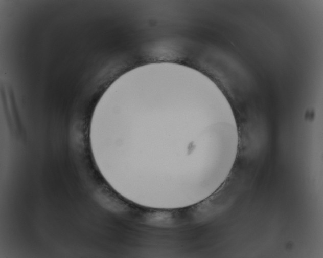 X0000101980162200807180809