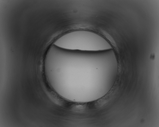 X0000101980163200807180809