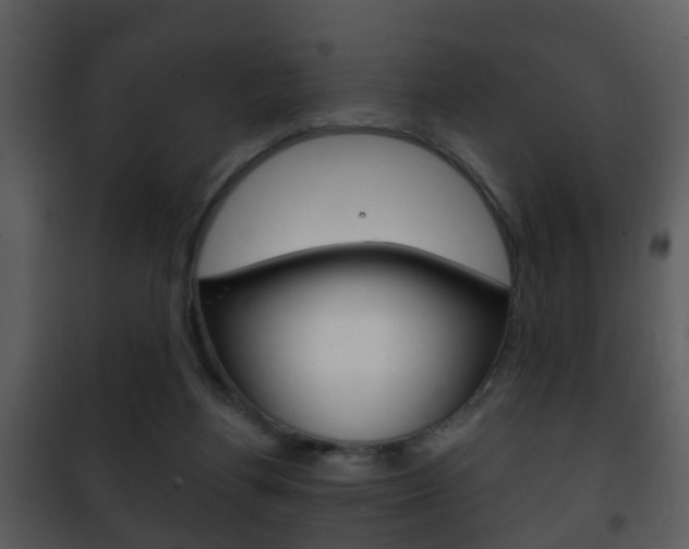 X0000101980164200807180809