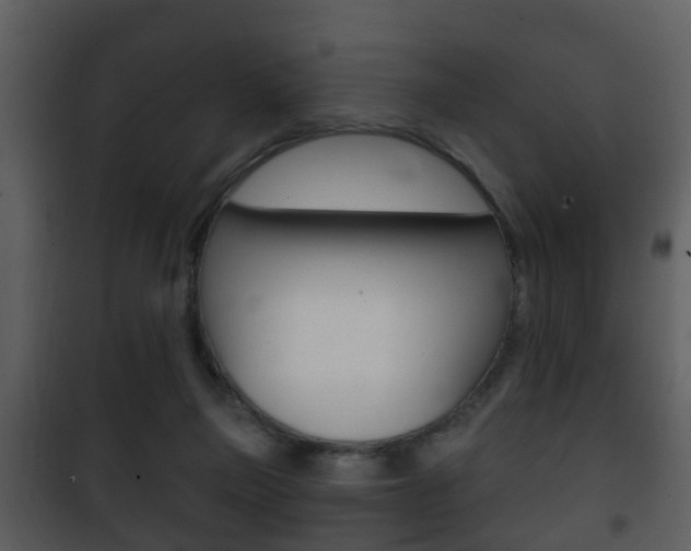 X0000101980165200807180809