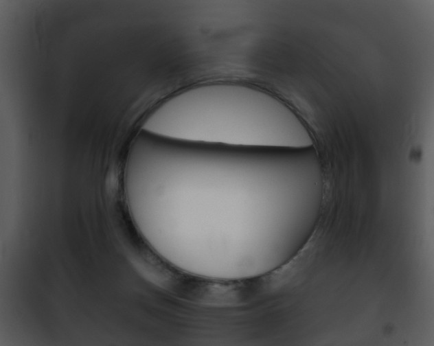 X0000101980166200807180809