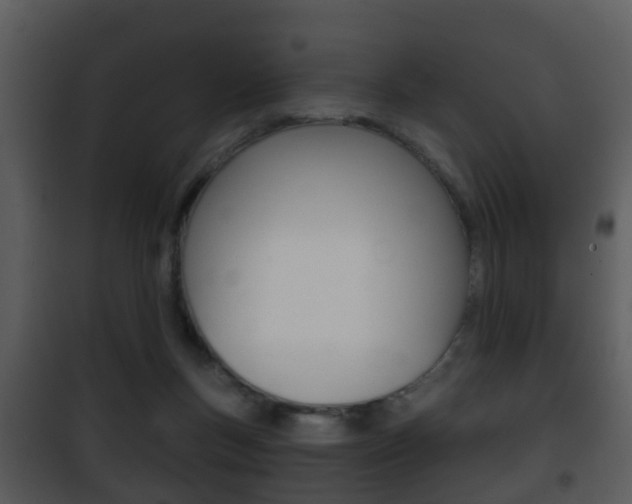 X0000101980167200807180809