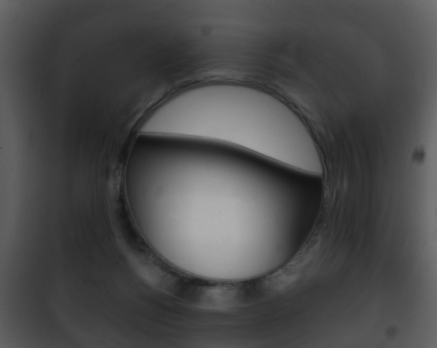 X0000101980168200807180809