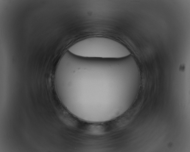 X0000101980169200807180809