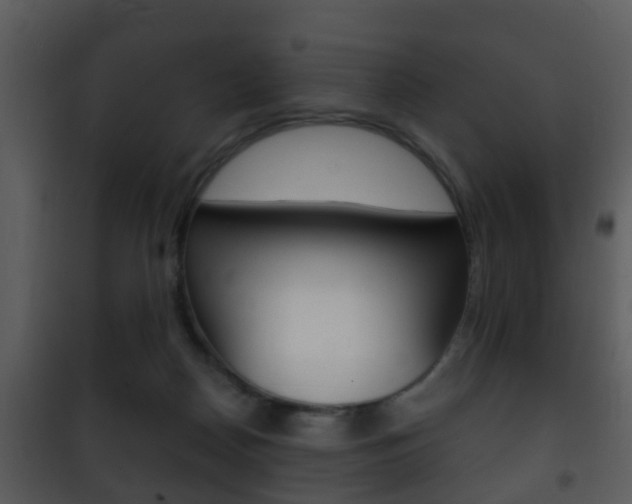 X0000101980170200807180809