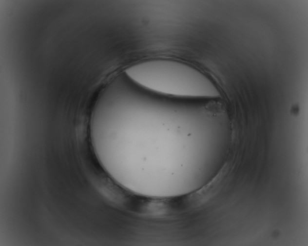 X0000101980171200807180809