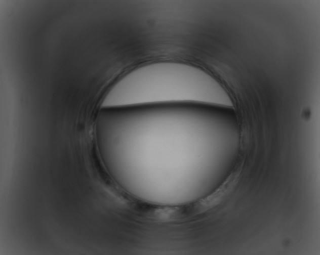 X0000101980172200807180809