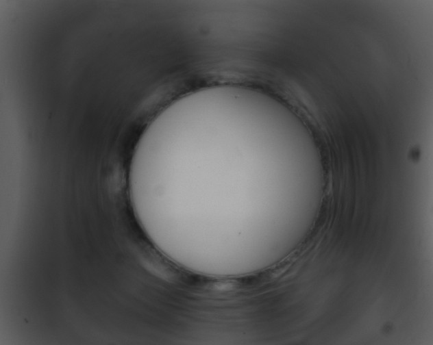 X0000101980173200807180809