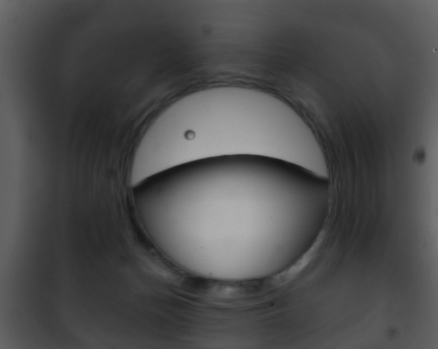 X0000101980174200807180809