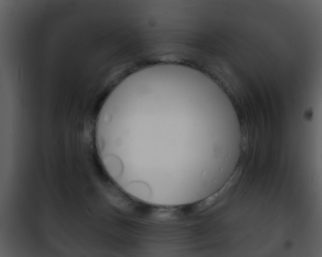 X0000101980175200807180809