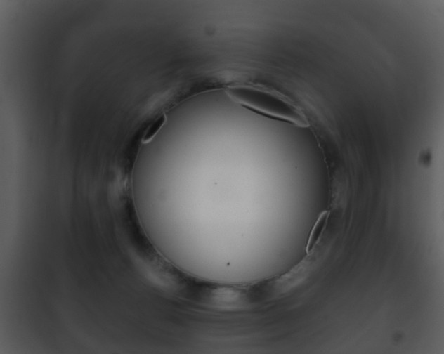 X0000101980176200807180809