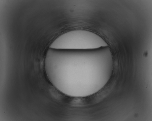 X0000101980177200807180809